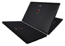 Ноутбук MSI GS70 2OD-077RU (i5 4200U/8Gb/750Gb/17"/GTX765/W8)