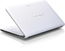 Ноутбук Sony VAIO® SVE1713M1R